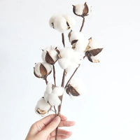 Elegant Faux Cotton Stems